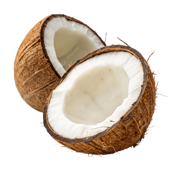 Quả dừa