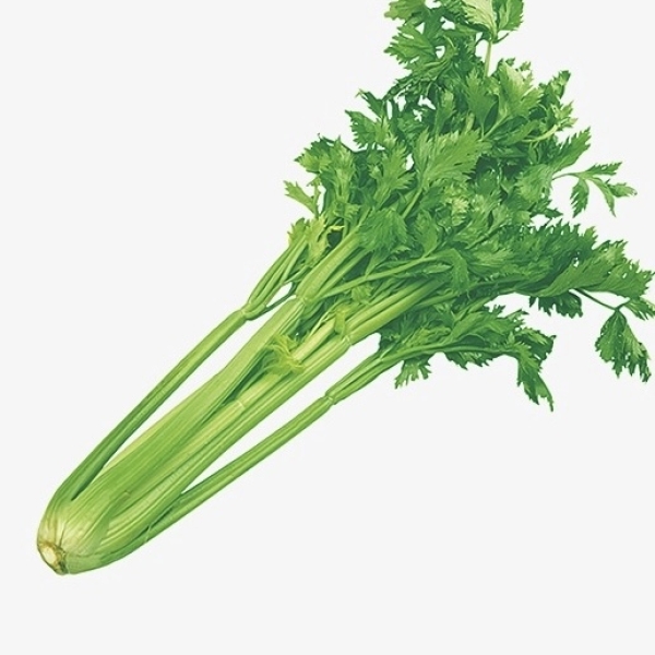 Cần tây