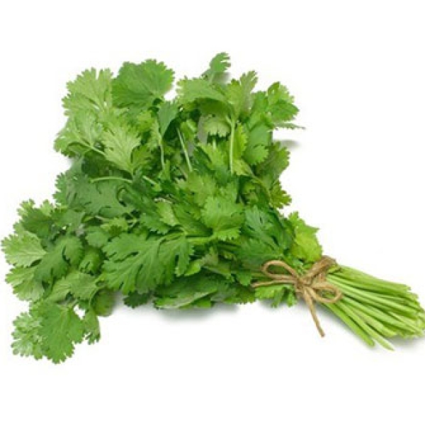 Mùi ta