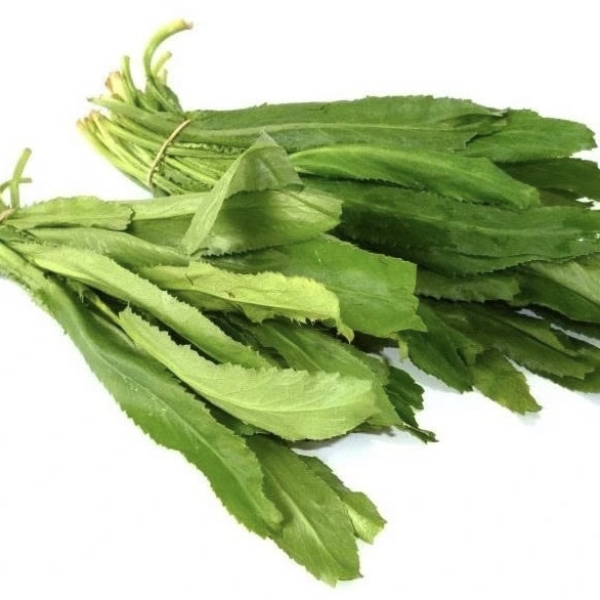 Mùi tàu