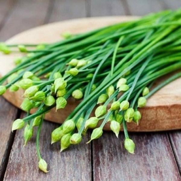 Ngồng tỏi