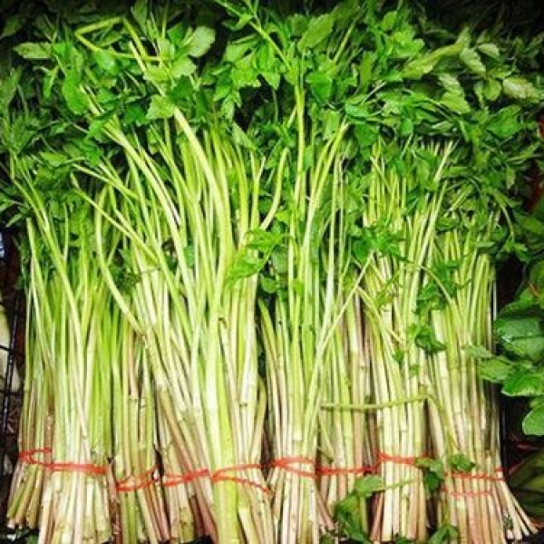 Cần ta