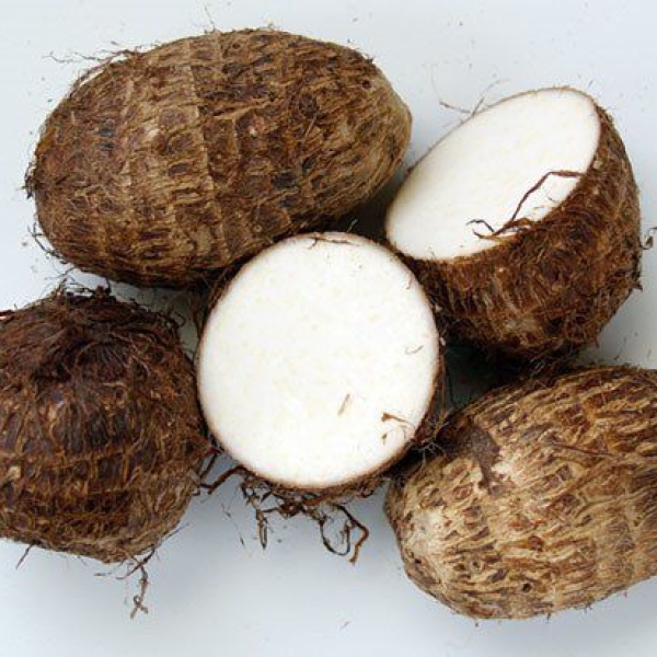 Khoai sọ