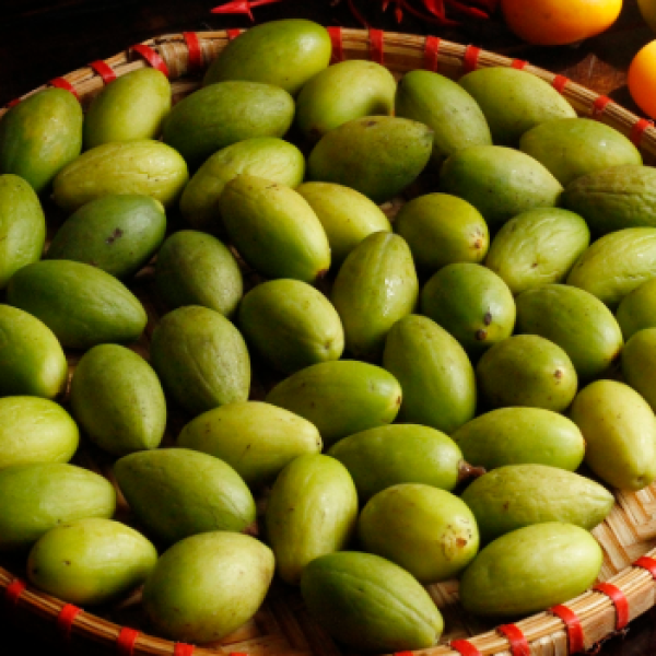 Quả Trám